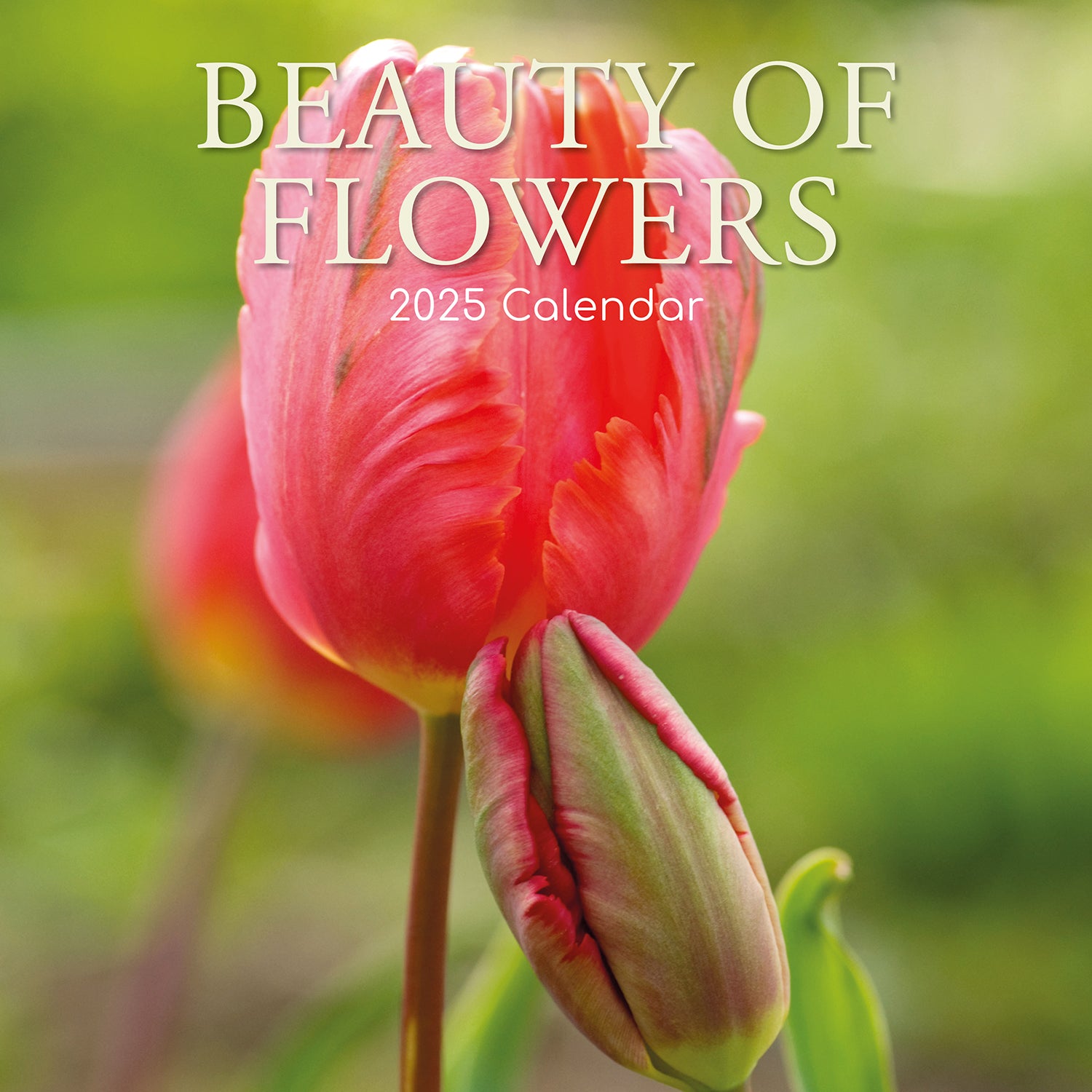 Beauty of Flowers 2025 Square Wall Calendar Floral 16-Month Premium Planner Gift V474-690101