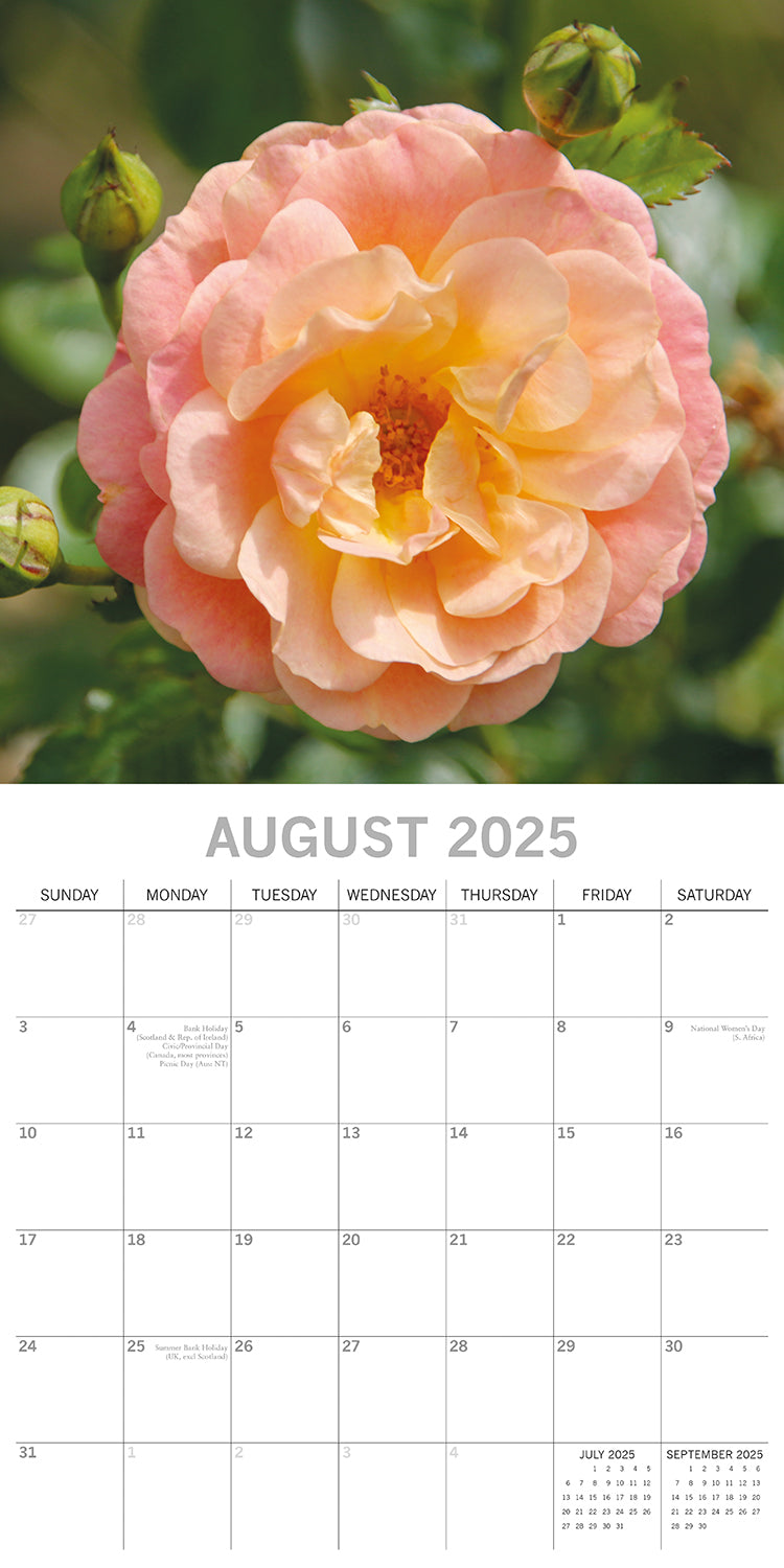 Beauty of Flowers 2025 Square Wall Calendar Floral 16-Month Premium Planner Gift V474-690101