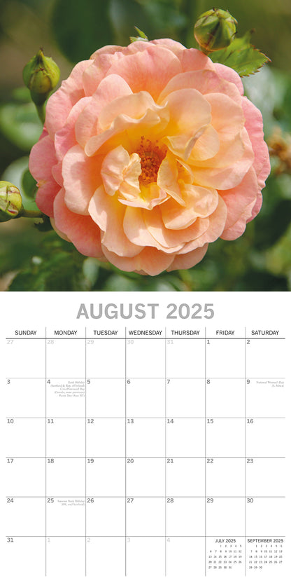 Beauty of Flowers 2025 Square Wall Calendar Floral 16-Month Premium Planner Gift V474-690101