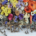 Dried Flowers - 2025 Square Wall Calendar Floral 16 Months Premium Planner Gift V474-690105