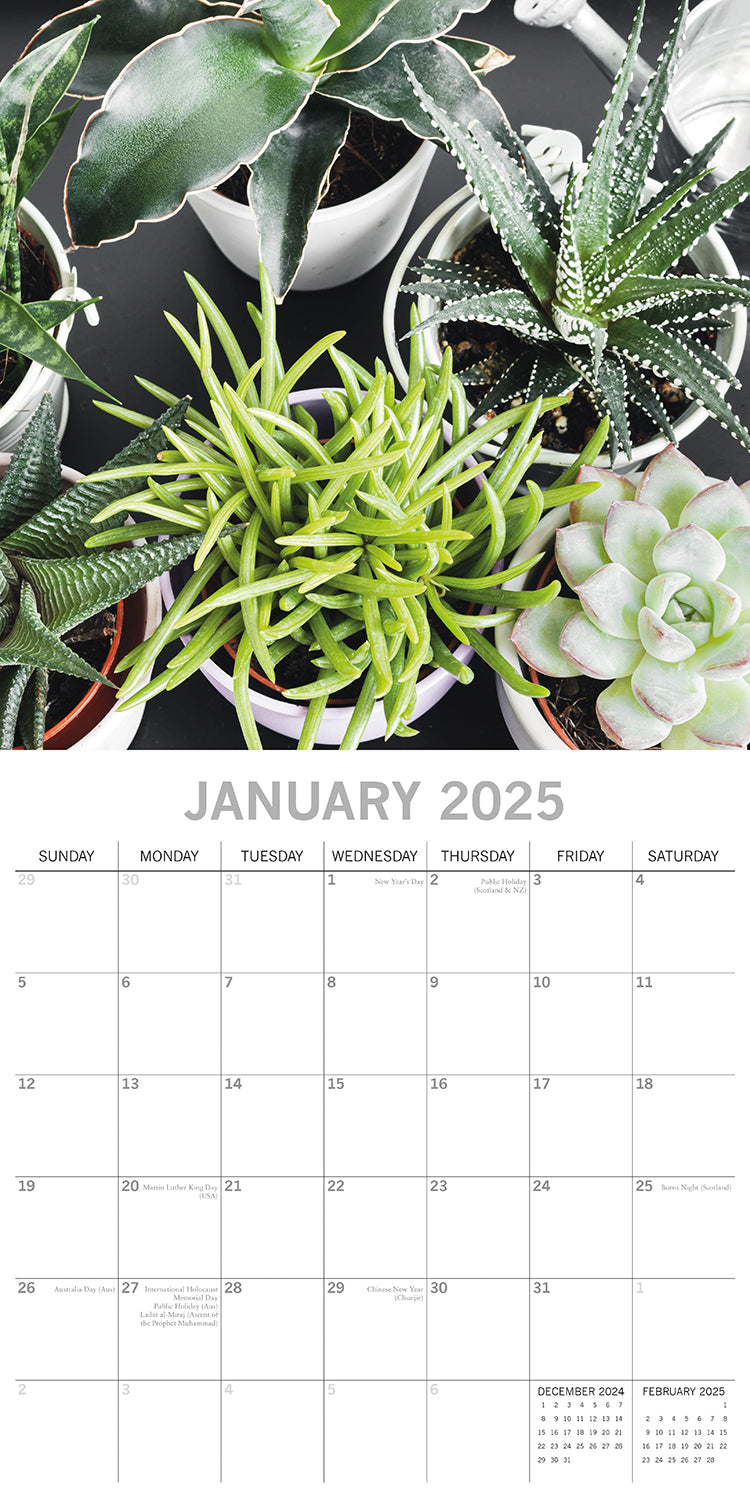 House Plants - 2025 Square Wall Calendar Floral 16 Months Premium Planner Gift V474-690108