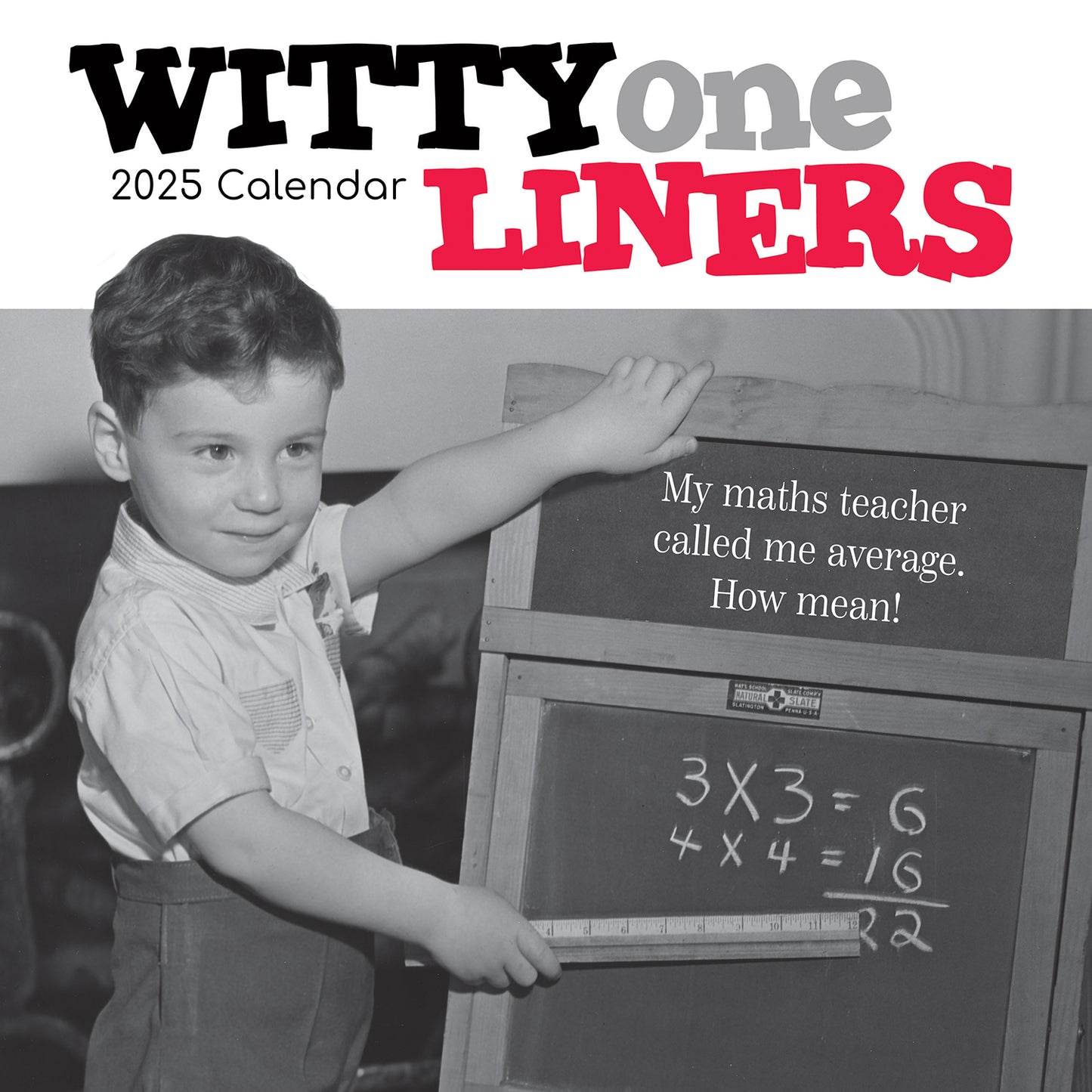 Witty One Liners - 2025 Square Wall Calendar 16 Months Premium Planner New Year V474-690273
