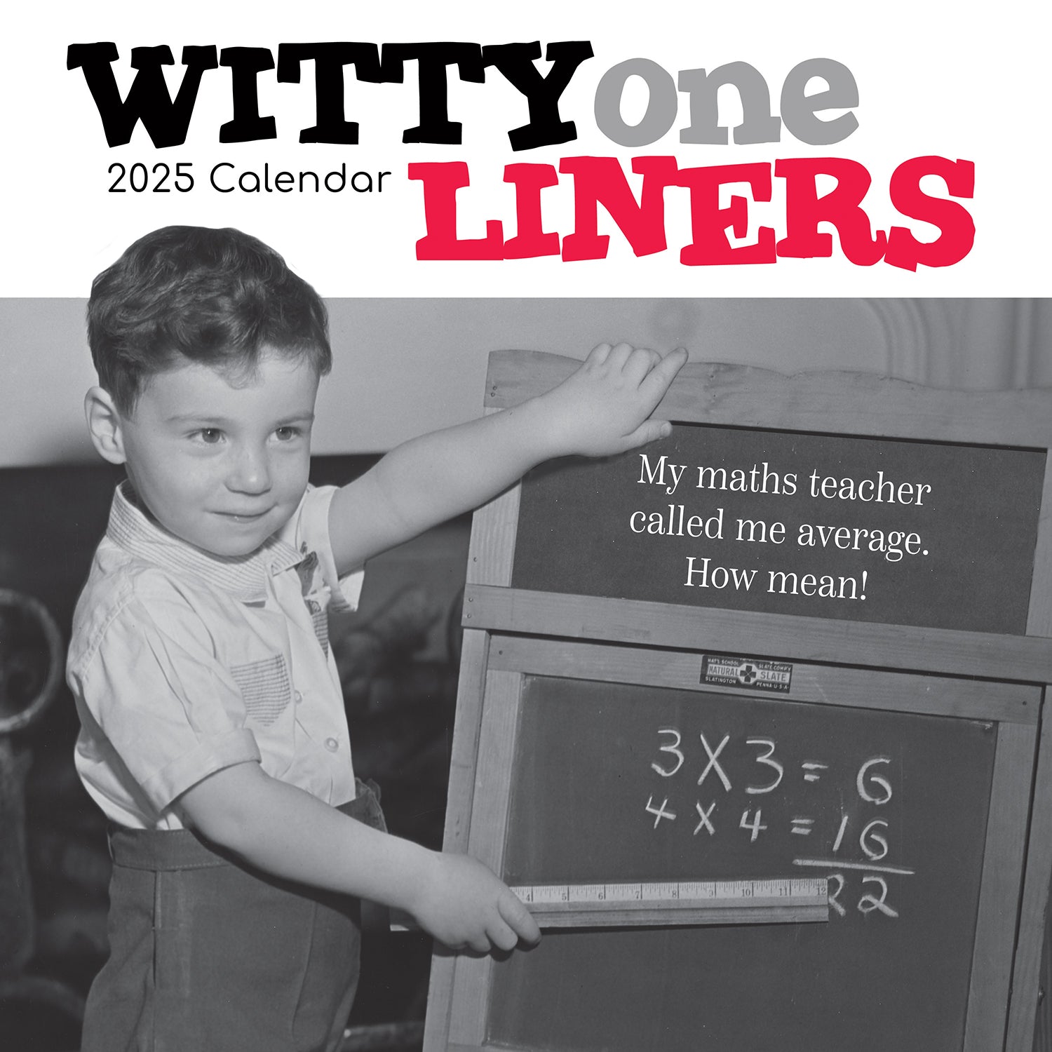 Witty One Liners - 2025 Square Wall Calendar 16 Months Premium Planner New Year V474-690273