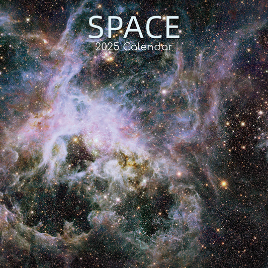 Space 2025 Square Wall Calendar 16-Month Christmas New Year Premium Planner Gift V474-690639