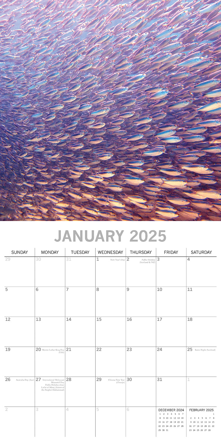 Under the Sea 2025 Square Wall Calendar 16 Months New Year Premium Planner Gift V474-690667