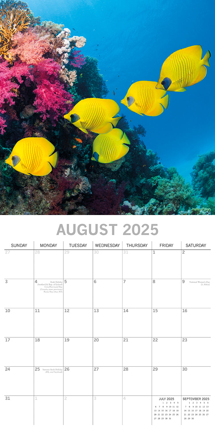 Under the Sea 2025 Square Wall Calendar 16 Months New Year Premium Planner Gift V474-690667