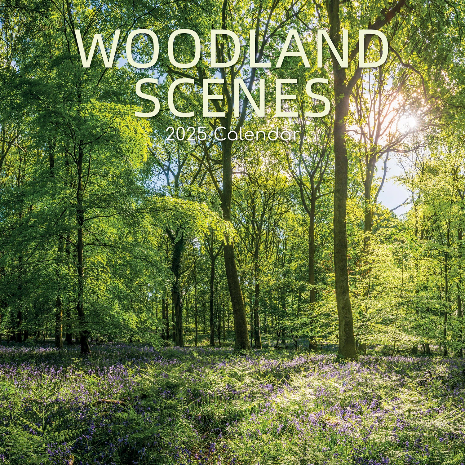 Woodland Scenes 2025 Square Wall Calendar 16 Months New Year Xmas Planner Gift V474-690674
