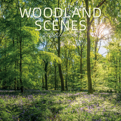 Woodland Scenes 2025 Square Wall Calendar 16 Months New Year Xmas Planner Gift V474-690674
