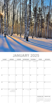 Woodland Scenes 2025 Square Wall Calendar 16 Months New Year Xmas Planner Gift V474-690674