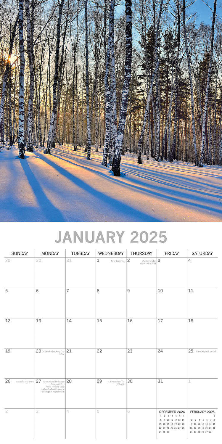 Woodland Scenes 2025 Square Wall Calendar 16 Months New Year Xmas Planner Gift V474-690674