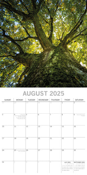 Woodland Scenes 2025 Square Wall Calendar 16 Months New Year Xmas Planner Gift V474-690674