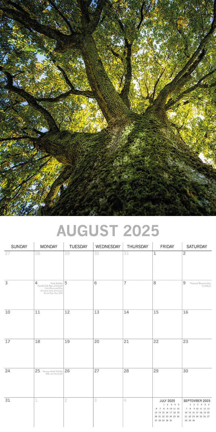 Woodland Scenes 2025 Square Wall Calendar 16 Months New Year Xmas Planner Gift V474-690674