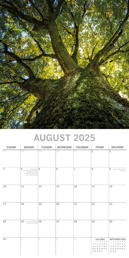 Woodland Scenes 2025 Square Wall Calendar 16 Months New Year Xmas Planner Gift V474-690674