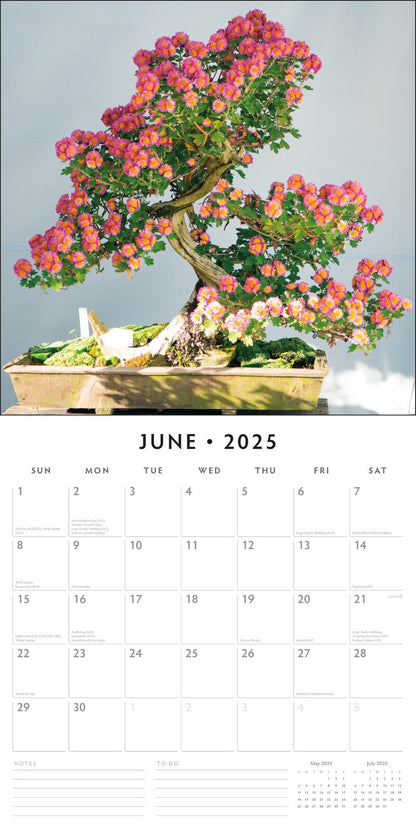 Bonsai - 2025 Square Wall Calendar Floral16 Month Premium Planner New Year Gift V474-695170