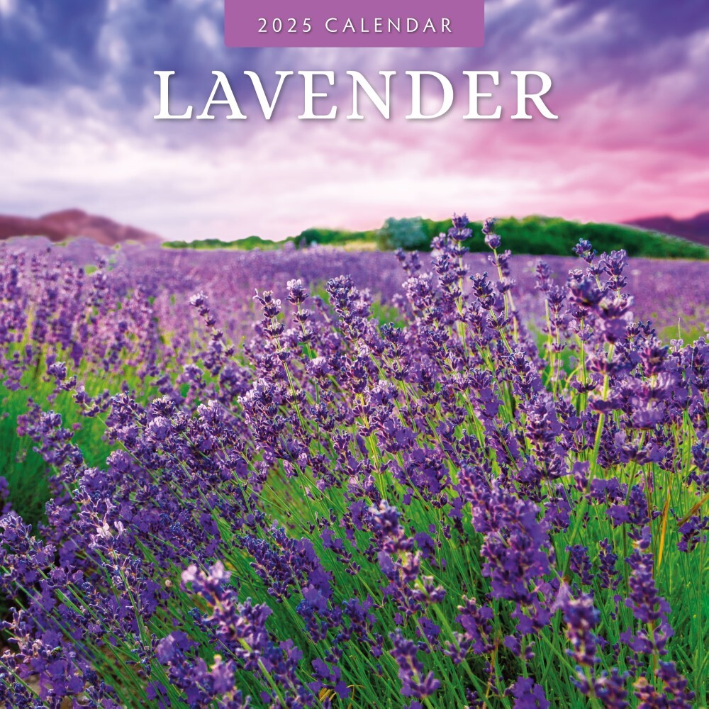 Lavender - 2025 Square Wall Calendar Floral 16 Months Premium New Year Planner V474-695203