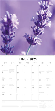 Lavender - 2025 Square Wall Calendar Floral 16 Months Premium New Year Planner V474-695203