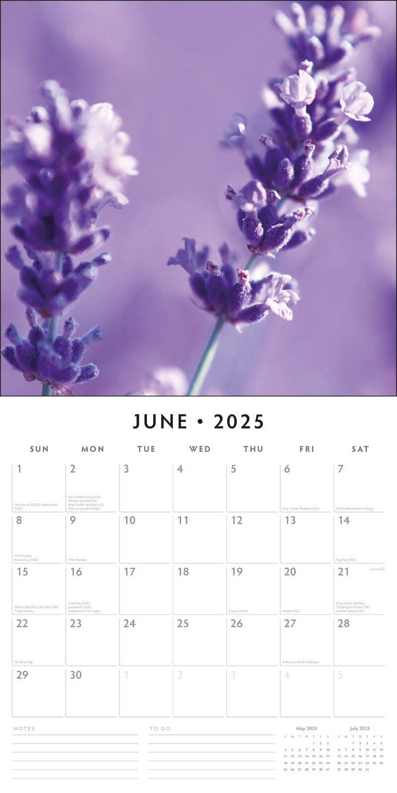 Lavender - 2025 Square Wall Calendar Floral 16 Months Premium New Year Planner V474-695203