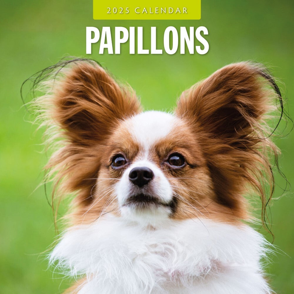 Papillions - 2025 Square Wall Calendar Animals 16 Months Premium Planner Gift V474-695237