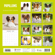 Papillions - 2025 Square Wall Calendar Animals 16 Months Premium Planner Gift V474-695237