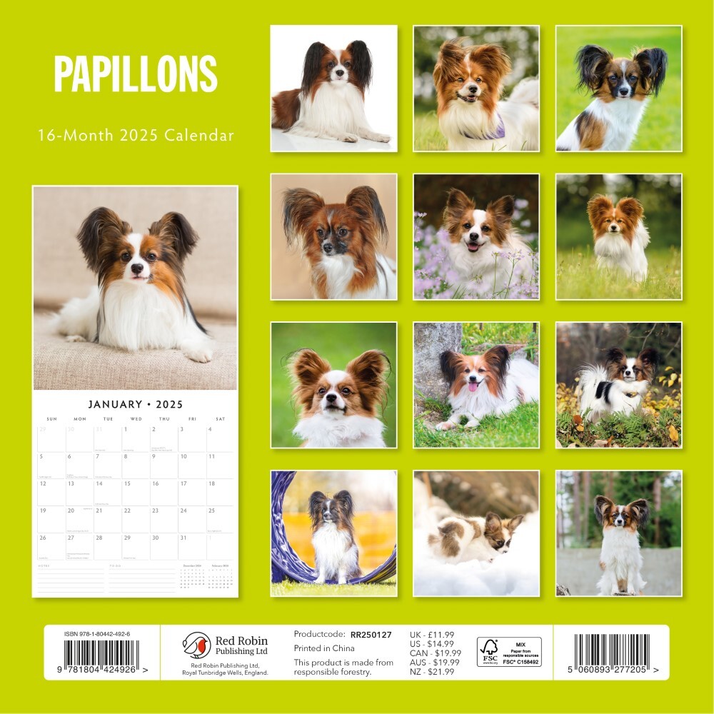 Papillions - 2025 Square Wall Calendar Animals 16 Months Premium Planner Gift V474-695237