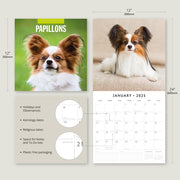 Papillions - 2025 Square Wall Calendar Animals 16 Months Premium Planner Gift V474-695237