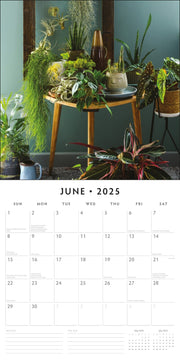 House Plants - 2025 Square Wall Calendar Floral16 Months Premium Planner Gift V474-695243
