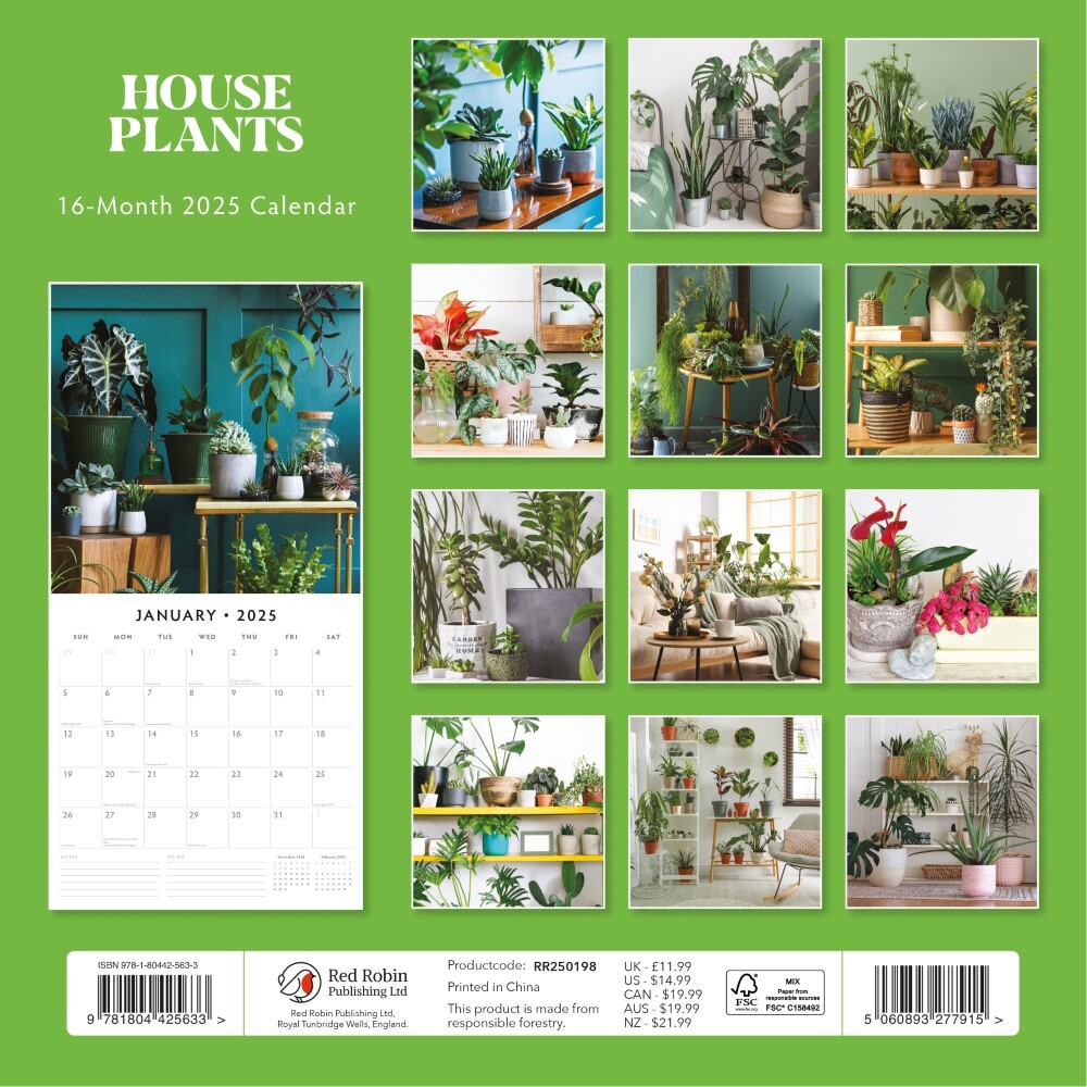 House Plants - 2025 Square Wall Calendar Floral16 Months Premium Planner Gift V474-695243