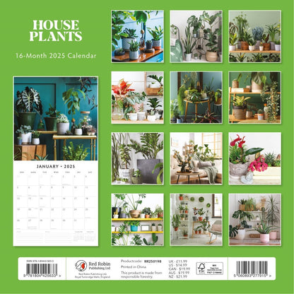 House Plants - 2025 Square Wall Calendar Floral16 Months Premium Planner Gift V474-695243