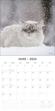 Snow Animals - 2025 Square Wall Calendar Animals 16 Months Premium Planner Gift V474-695264