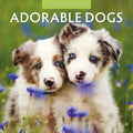 Adorable Dogs - 2025 Square Wall Calendar Animals 16 Months Premium Planner Gift V474-695282