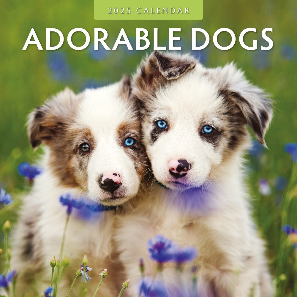 Adorable Dogs - 2025 Square Wall Calendar Animals 16 Months Premium Planner Gift V474-695282