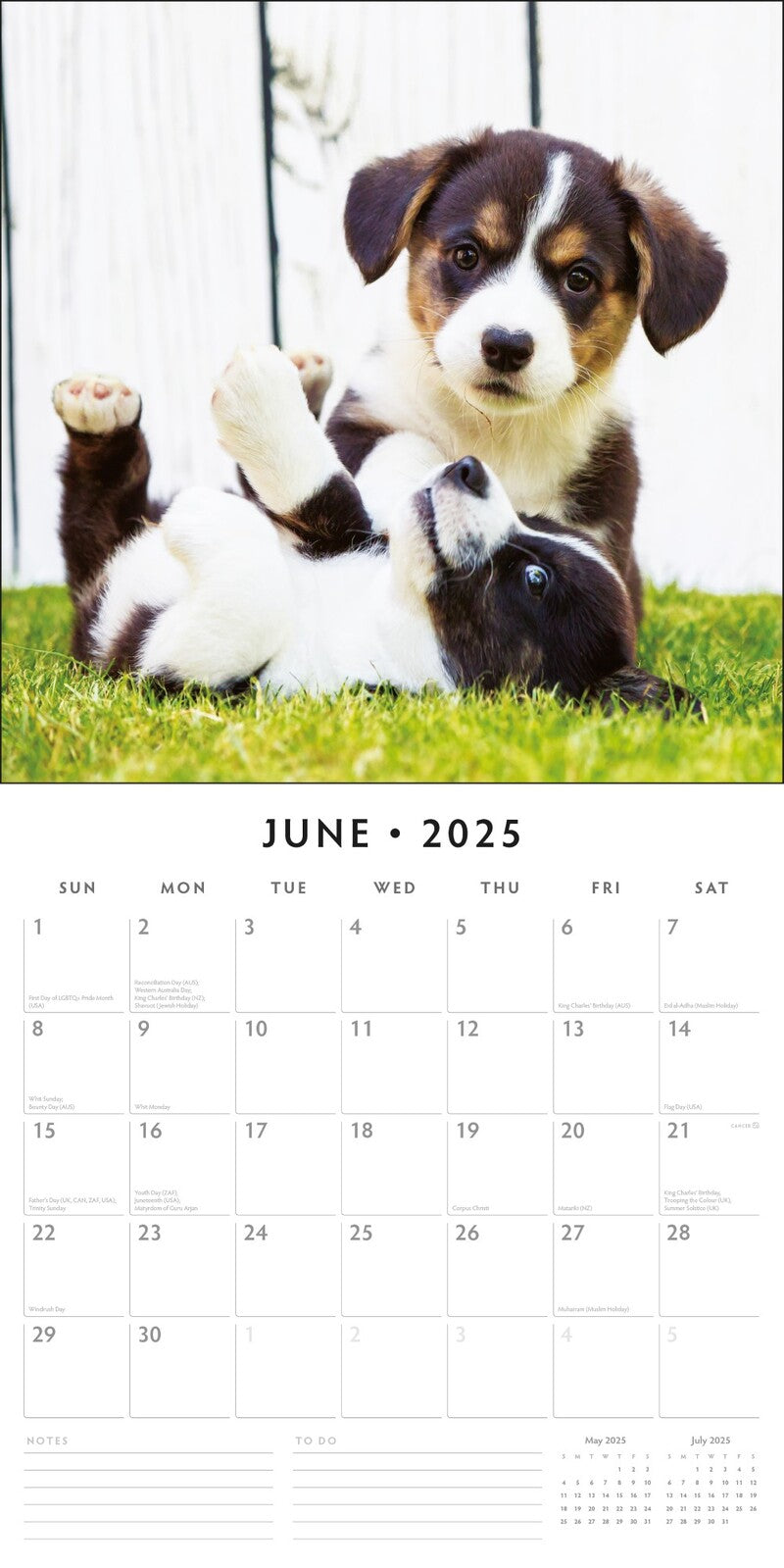 Adorable Dogs - 2025 Square Wall Calendar Animals 16 Months Premium Planner Gift V474-695282
