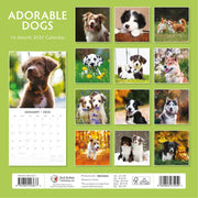 Adorable Dogs - 2025 Square Wall Calendar Animals 16 Months Premium Planner Gift V474-695282