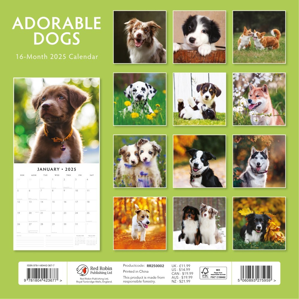 Adorable Dogs - 2025 Square Wall Calendar Animals 16 Months Premium Planner Gift V474-695282