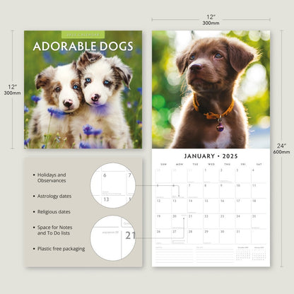 Adorable Dogs - 2025 Square Wall Calendar Animals 16 Months Premium Planner Gift V474-695282