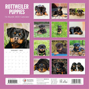Rottweiler Puppies - 2025 Square Wall Calendar Animals 16 Months Premium Planner V474-695338