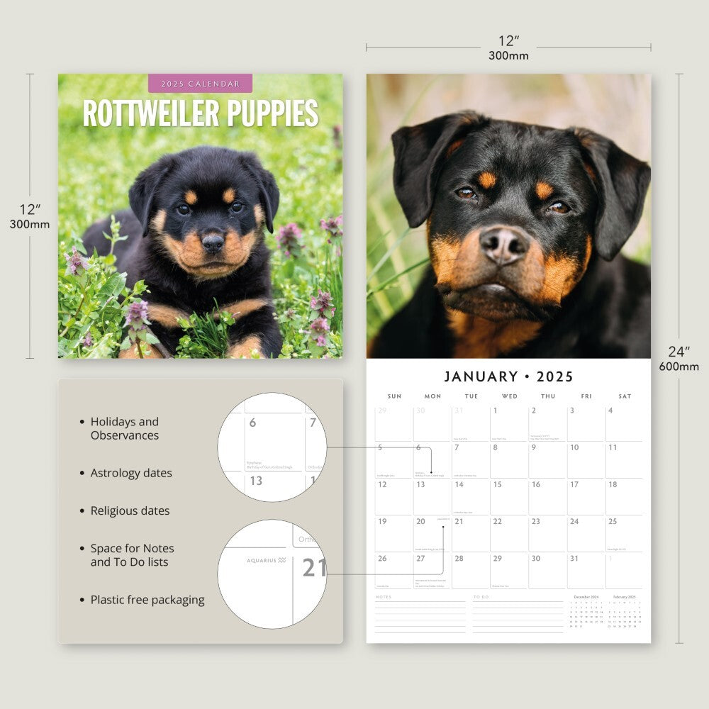 Rottweiler Puppies - 2025 Square Wall Calendar Animals 16 Months Premium Planner V474-695338