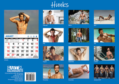 Hunks - 2025 Rectangle Wall Calendar 16 Months Planner Handsome Men Photos Gift V474-700412