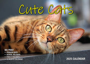 Cute Cats - 2025 Rectangle Wall Calendar 16 Months Planner Animal Pets Photos V474-700418