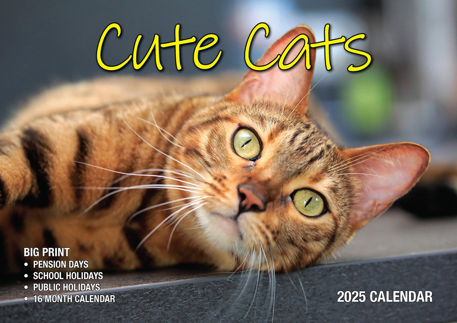 Cute Cats - 2025 Rectangle Wall Calendar 16 Months Planner Animal Pets Photos V474-700418