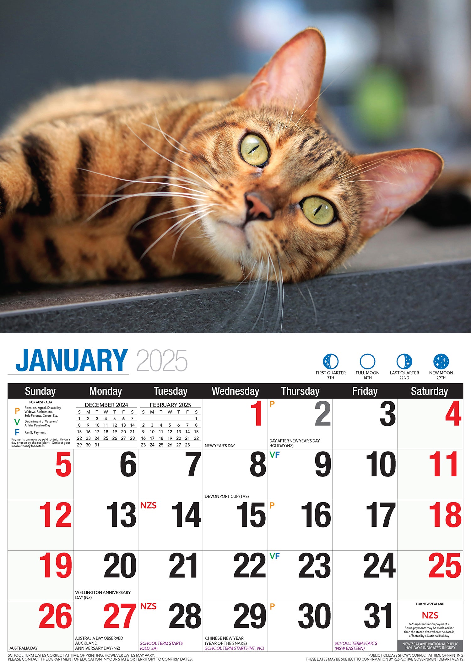 Cute Cats - 2025 Rectangle Wall Calendar 16 Months Planner Animal Pets Photos V474-700418