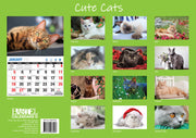 Cute Cats - 2025 Rectangle Wall Calendar 16 Months Planner Animal Pets Photos V474-700418