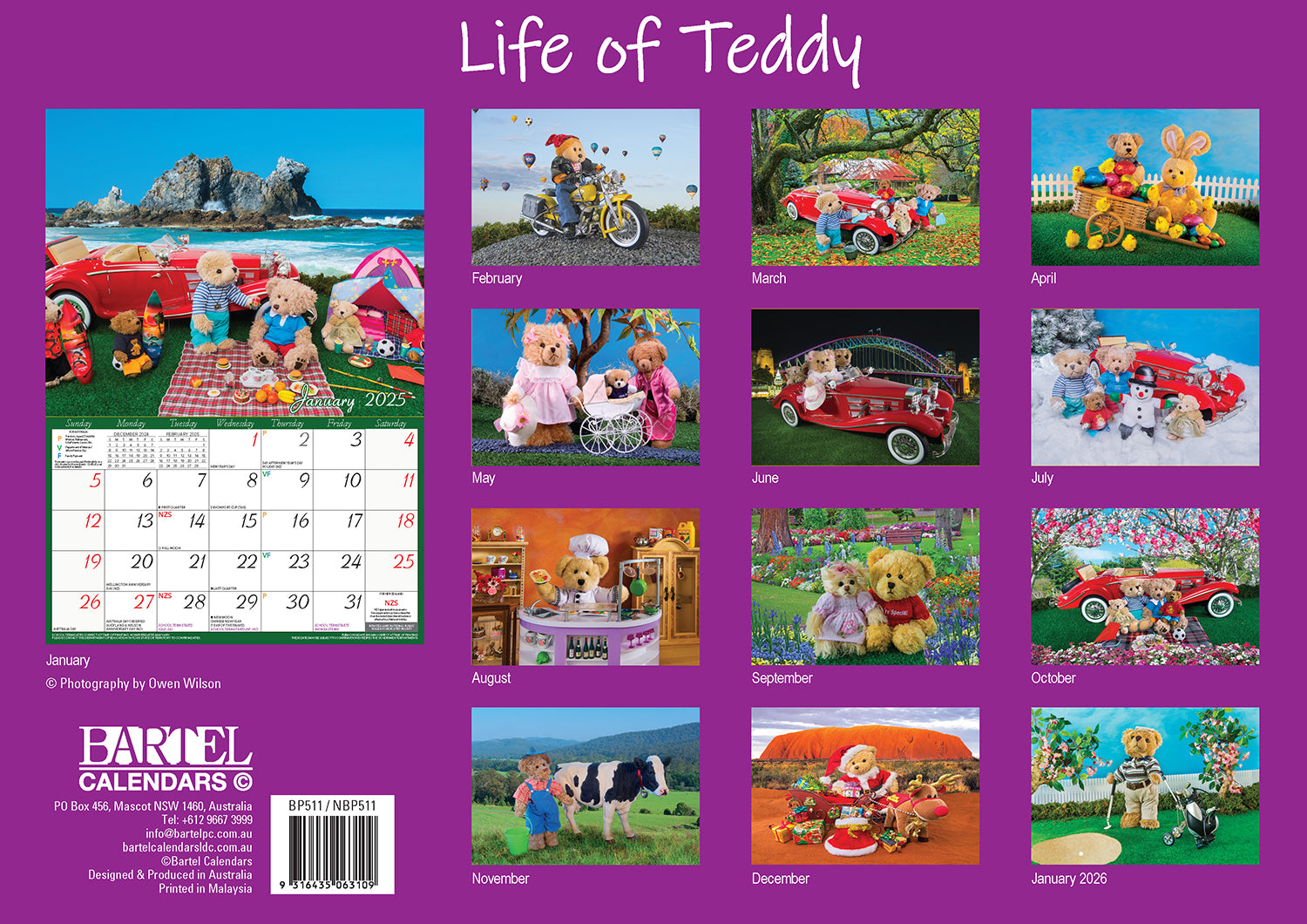 Life of Teddy - 2025 Rectangle Wall Calendar 13 Months Planner Adventures Gift V474-700419