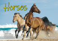 Horses - 2025 Rectangle Wall Calendar 16 Months Animal Planner New Year Gift V474-700422