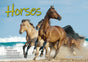 Horses - 2025 Rectangle Wall Calendar 16 Months Animal Planner New Year Gift V474-700422