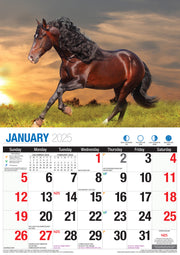 Horses - 2025 Rectangle Wall Calendar 16 Months Animal Planner New Year Gift V474-700422