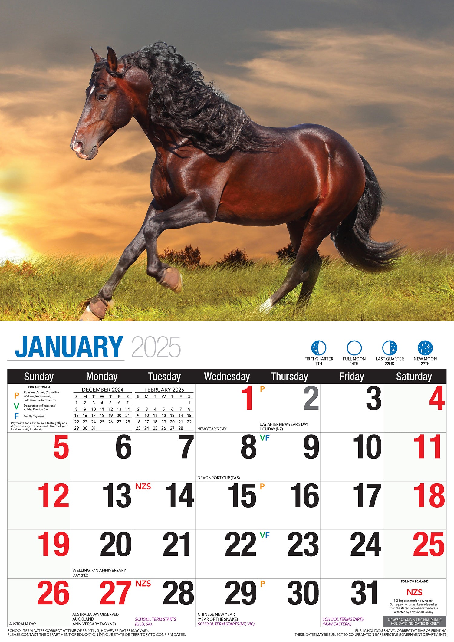 Horses - 2025 Rectangle Wall Calendar 16 Months Animal Planner New Year Gift V474-700422