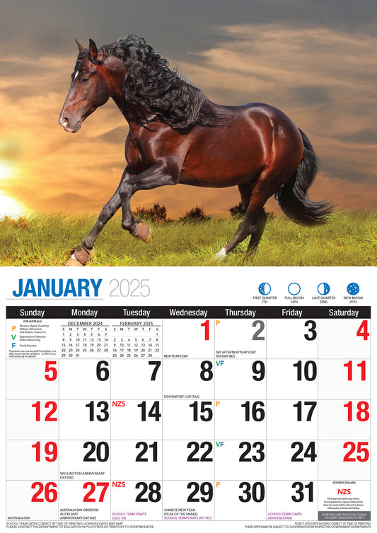 Horses - 2025 Rectangle Wall Calendar 16 Months Animal Planner New Year Gift V474-700422