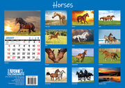 Horses - 2025 Rectangle Wall Calendar 16 Months Animal Planner New Year Gift V474-700422