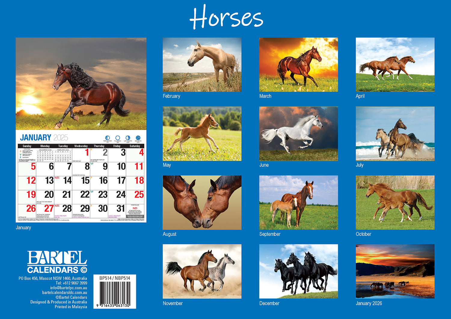 Horses - 2025 Rectangle Wall Calendar 16 Months Animal Planner New Year Gift V474-700422